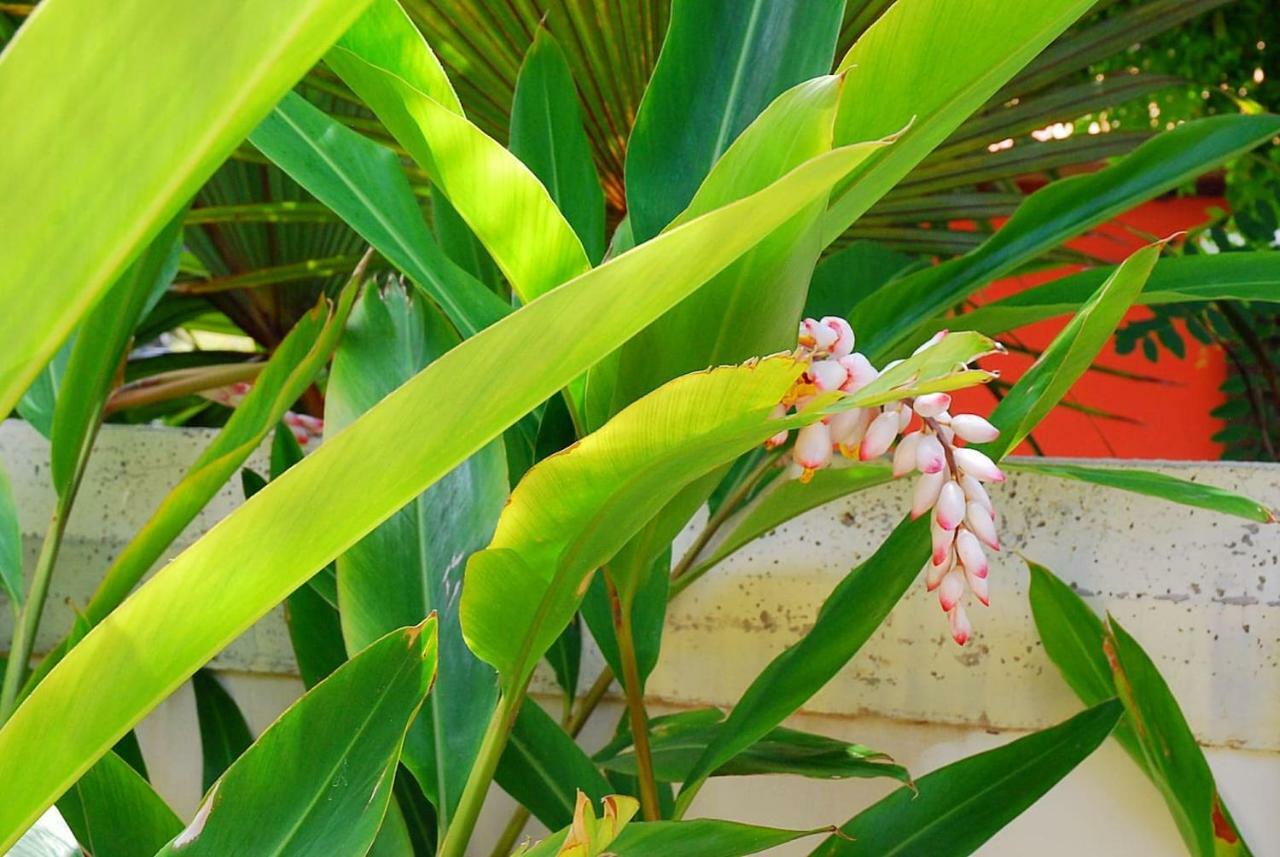House Sea View Private Garden, 5 People, Optical Fiber Βίλα Puerto de la Madera Εξωτερικό φωτογραφία